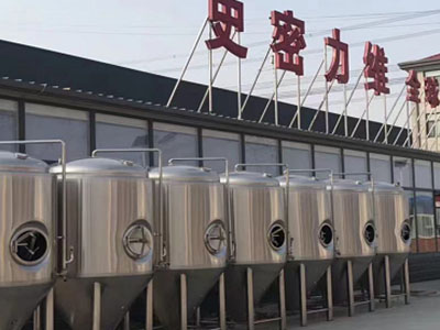 阜城精酿啤酒设备厂—如何判断精酿啤酒设备的密封件需要更换？